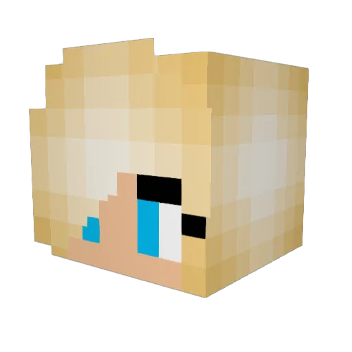 Lucylu11 Minecraft avatar head, 3D render