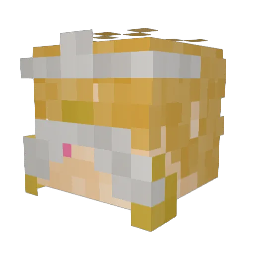 Lucymelon Minecraft avatar head, 3D render