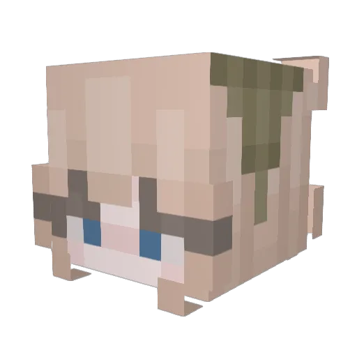 Lucywozere Minecraft avatar head, 3D render