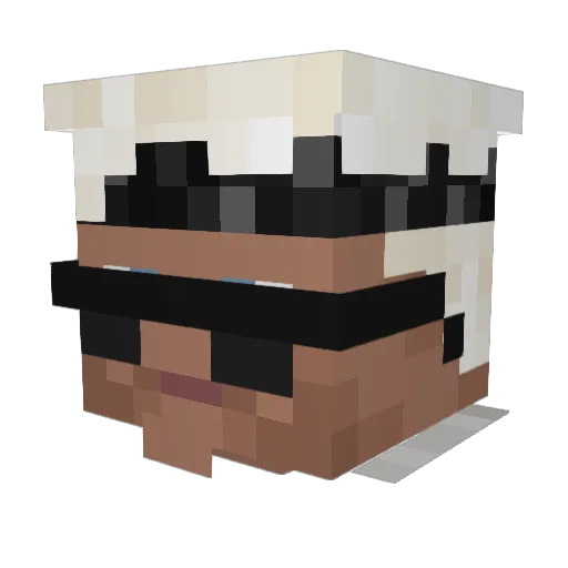 Ludd48 Minecraft avatar head, 3D render