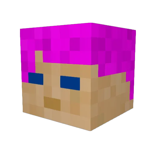 Ludde26 Minecraft avatar head, 3D render