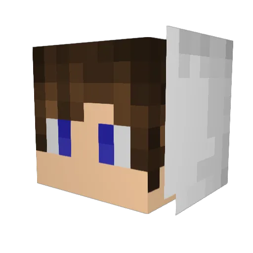 Luddeee20 Minecraft avatar head, 3D render