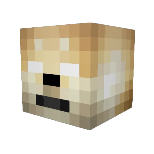 LudgerMLG Minecraft avatar head, 3D render
