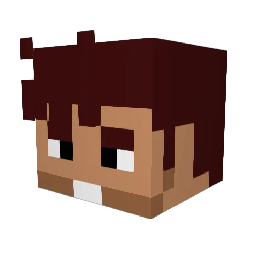Ludgety Minecraft avatar head, 3D render