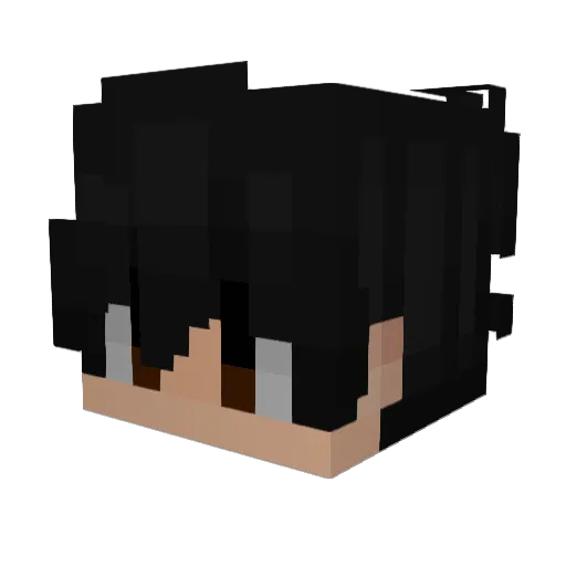 Ludicily Minecraft avatar head, 3D render
