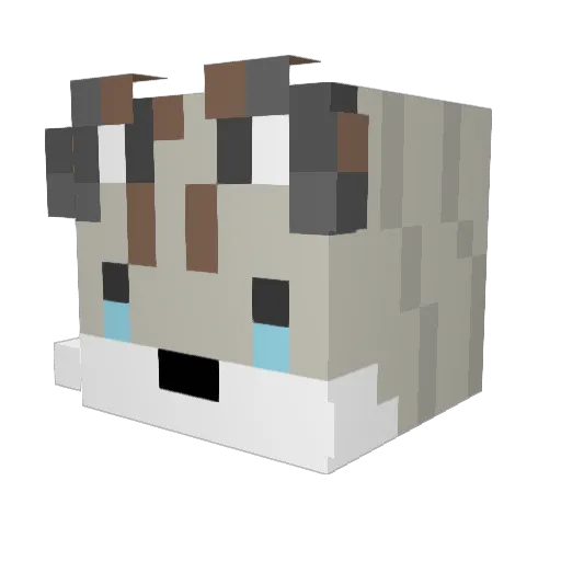 LudicrousFox01 Minecraft avatar head, 3D render