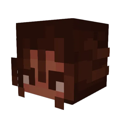 Ludiss Minecraft avatar head, 3D render