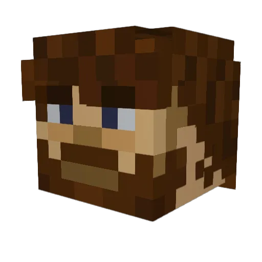 Ludo22 Minecraft avatar head, 3D render