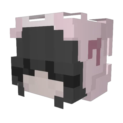 LudoPolarKitty Minecraft avatar head, 3D render