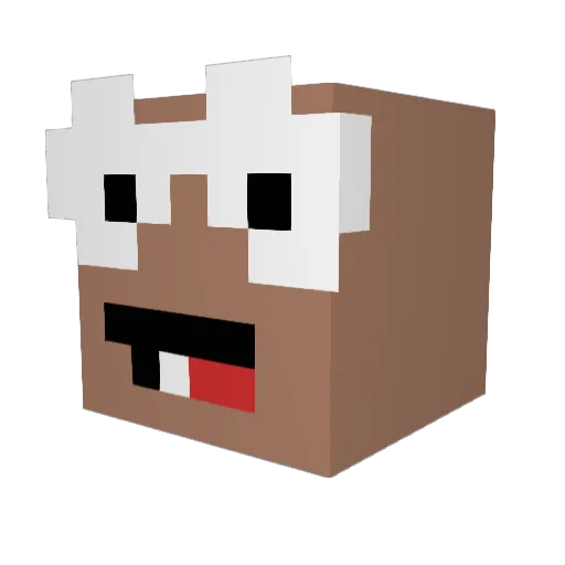 Ludrikk Minecraft avatar head, 3D render