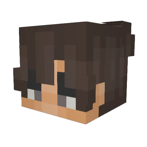 Ludvighell Minecraft avatar head, 3D render