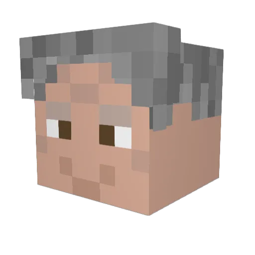 Ludvigo24 Minecraft avatar head, 3D render