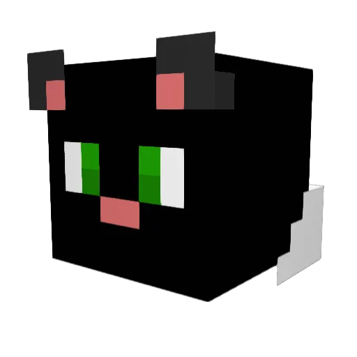 Ludwigo127 Minecraft avatar head, 3D render