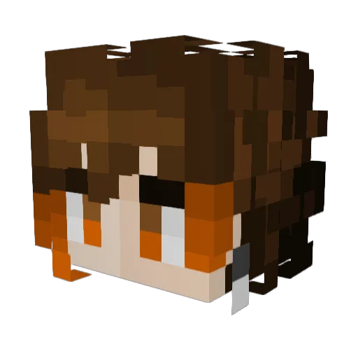 Ludwin1229 Minecraft avatar head, 3D render