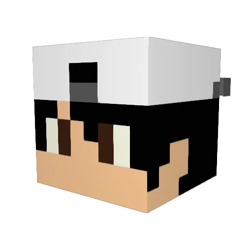 Ludzin Minecraft avatar head, 3D render