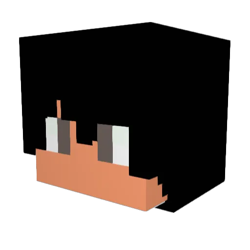 Luesam Minecraft avatar head, 3D render