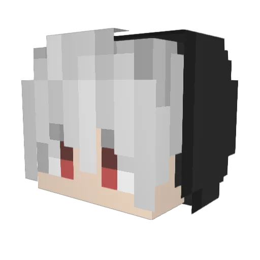Luffa_666 Minecraft avatar head, 3D render