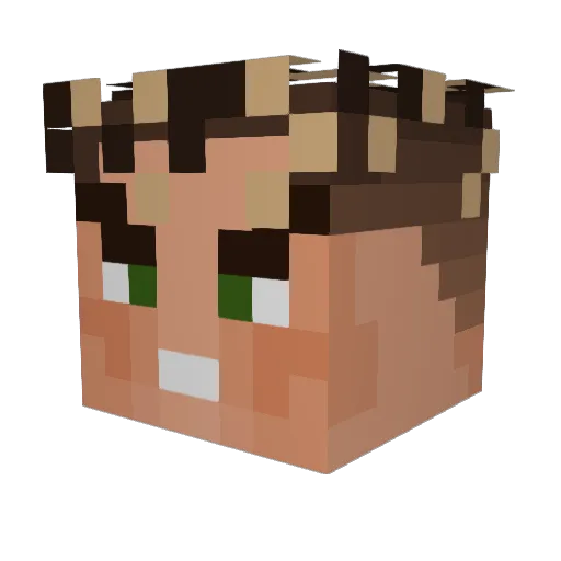 Luffy2909 Minecraft avatar head, 3D render