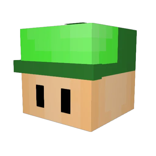 Luffy960 Minecraft avatar head, 3D render
