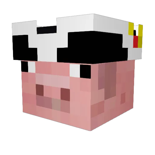LuffyBoy69 Minecraft avatar head, 3D render