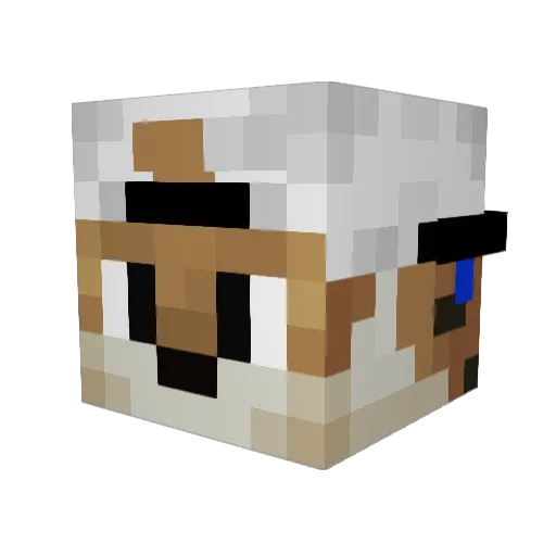 Lufix59 Minecraft avatar head, 3D render