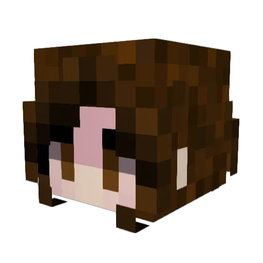 Luflufi Minecraft avatar head, 3D render