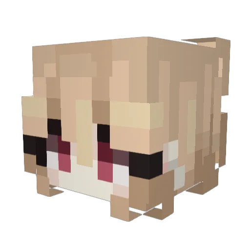 Lufna Minecraft avatar head, 3D render