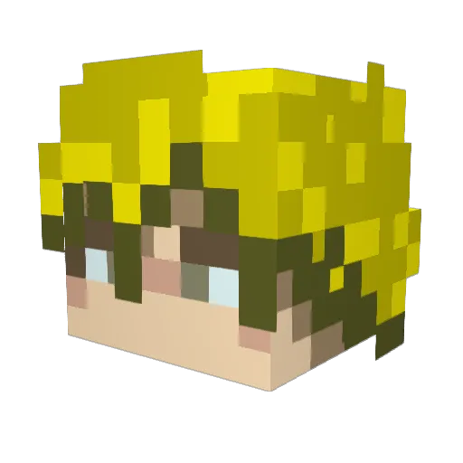 Lufus124 Minecraft avatar head, 3D render
