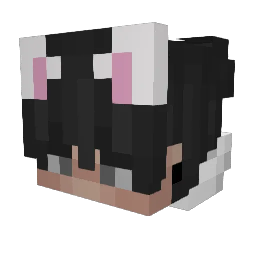 Luggant Minecraft avatar head, 3D render