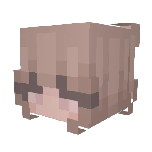 Luhvsick Minecraft avatar head, 3D render