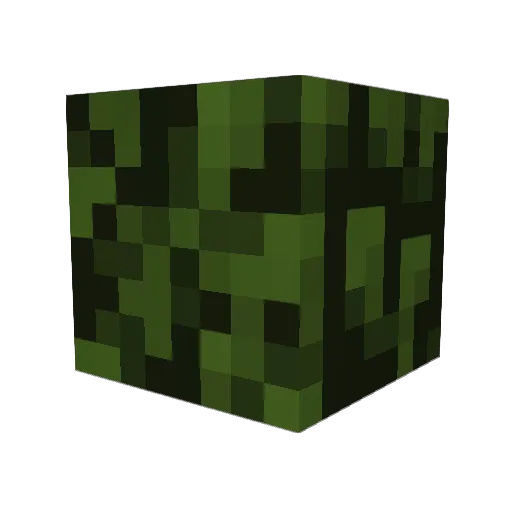 LuiSin27 Minecraft avatar head, 3D render