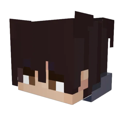 LuiT28 Minecraft avatar head, 3D render