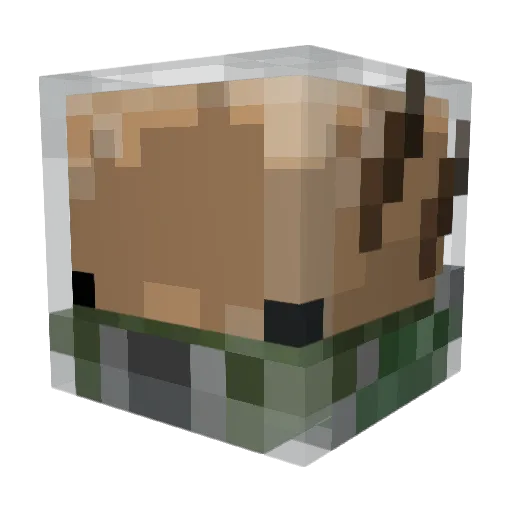 Luig1N Minecraft avatar head, 3D render