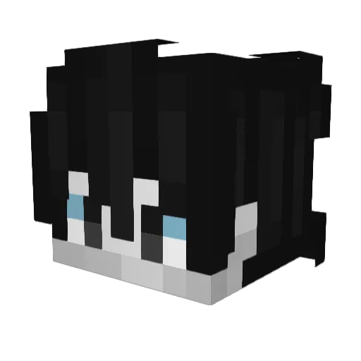 Luii33 Minecraft avatar head, 3D render