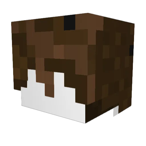 Luis558 Minecraft avatar head, 3D render