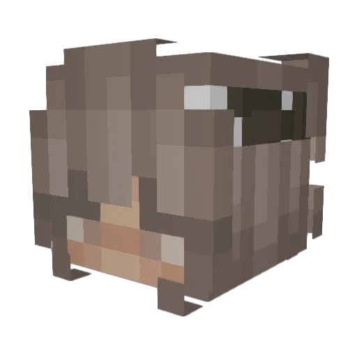 LuisMeow Minecraft avatar head, 3D render