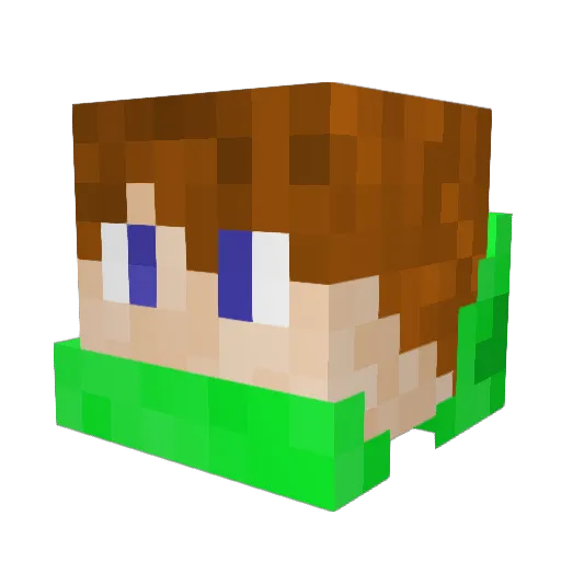 LuisW1 Minecraft avatar head, 3D render