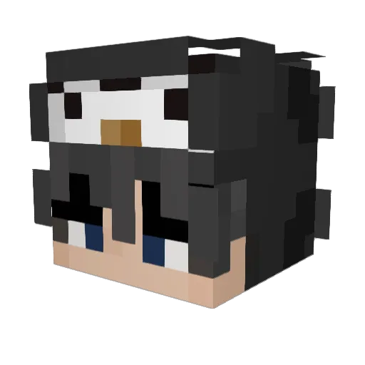 Luis_z0cker Minecraft avatar head, 3D render