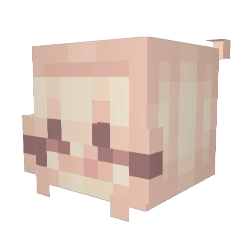 LuisaMarie13 Minecraft avatar head, 3D render