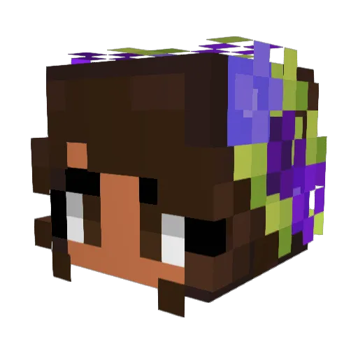 Luisaxfer Minecraft avatar head, 3D render