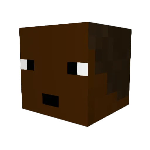 LuiseGamerCool23 Minecraft avatar head, 3D render
