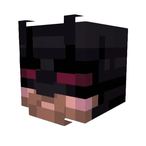 Luisslaker Minecraft avatar head, 3D render