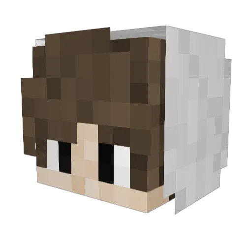 Luisx05 Minecraft avatar head, 3D render