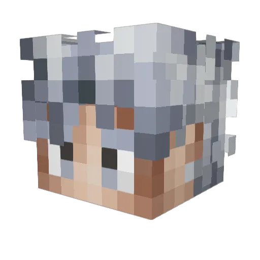 Luiti05 Minecraft avatar head, 3D render