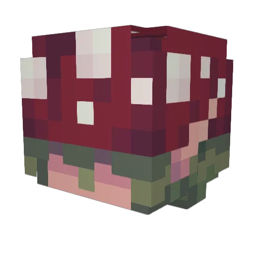 Luivitom Minecraft avatar head, 3D render