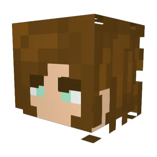 Luiyon Minecraft avatar head, 3D render