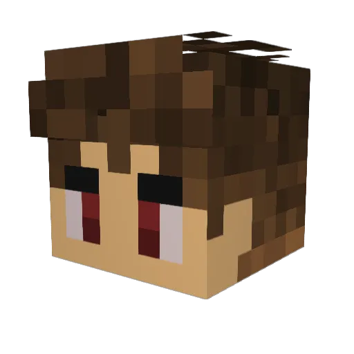 Luiz0106 Minecraft avatar head, 3D render