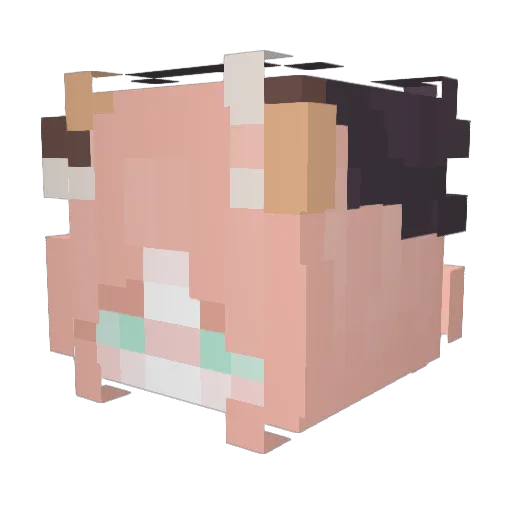 LuizF_ Minecraft avatar head, 3D render