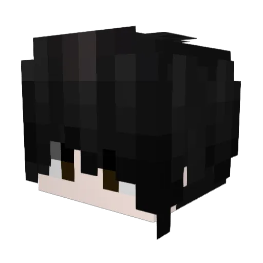 LuizLuizLuiz Minecraft avatar head, 3D render