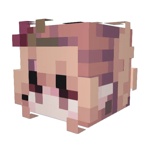 Luizhi Minecraft avatar head, 3D render